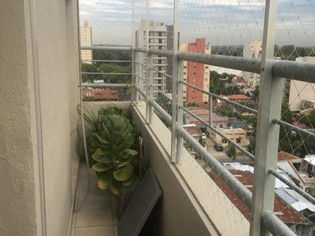 place photo 24