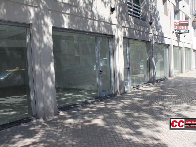 place photo 35