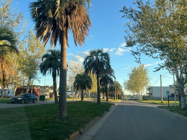 place photo 15