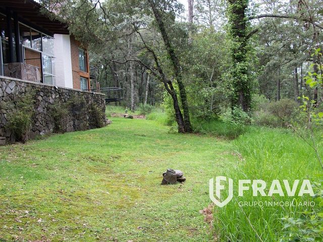 place photo 47