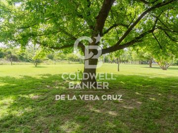 place photo 35