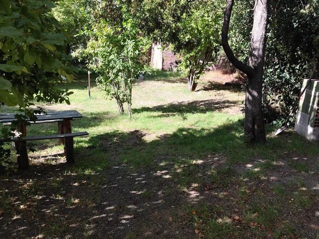 place photo 42
