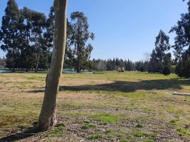 place photo 39