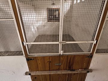place photo 38