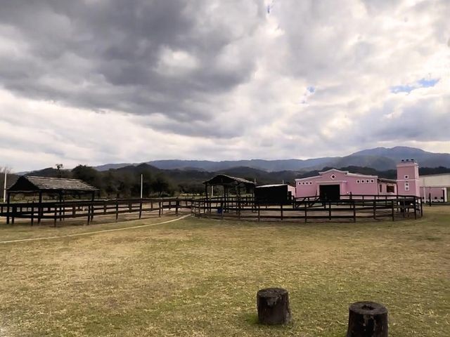 place photo 46