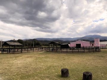 place photo 46