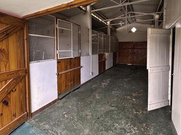 place photo 36