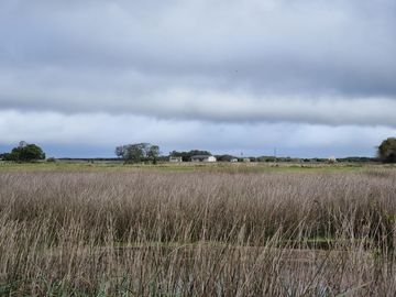 place photo 49