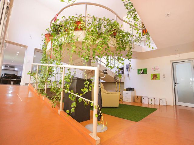 place photo 25