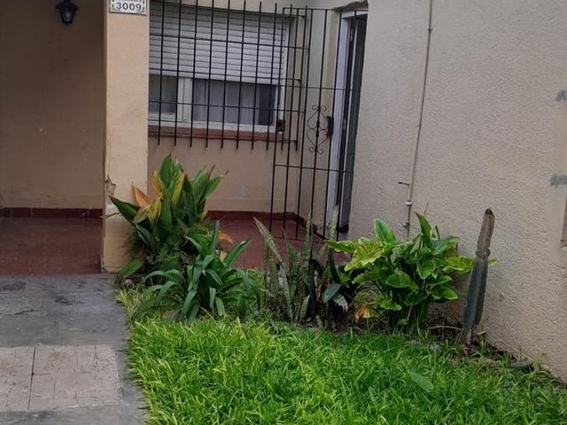 place photo 27