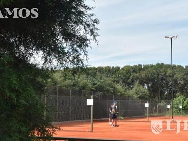 place photo 19