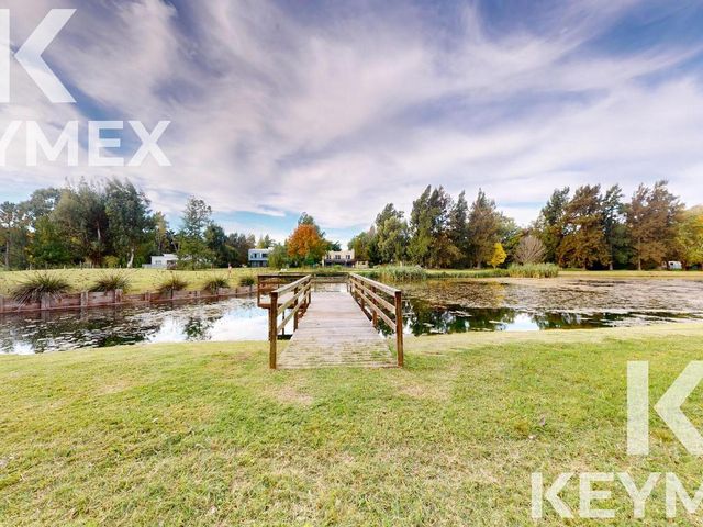 place photo 41
