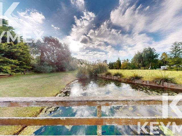 place photo 47