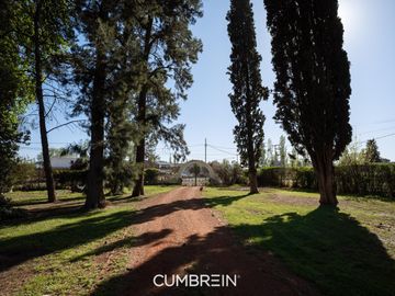 place photo 28