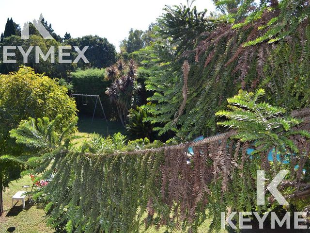 place photo 38