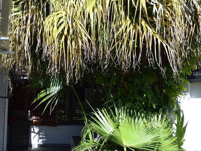 place photo 42