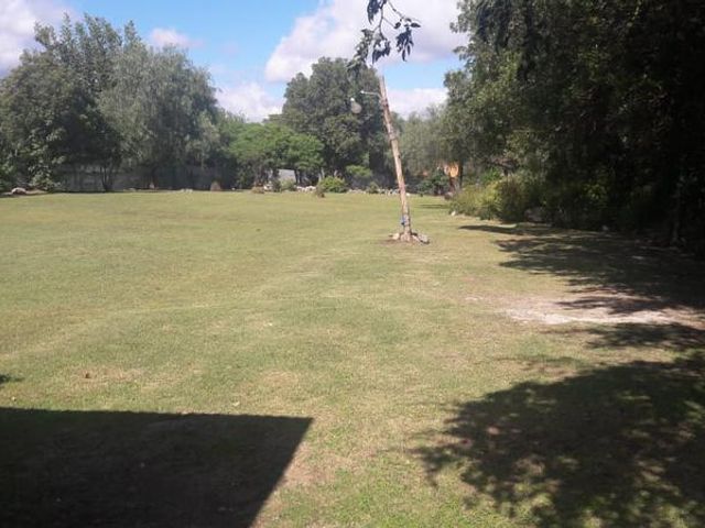 place photo 24
