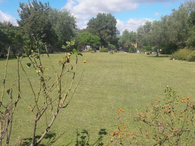 place photo 28