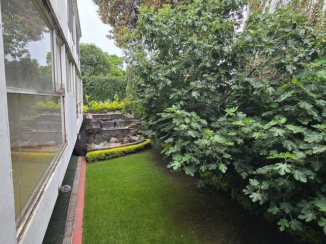 place photo 36