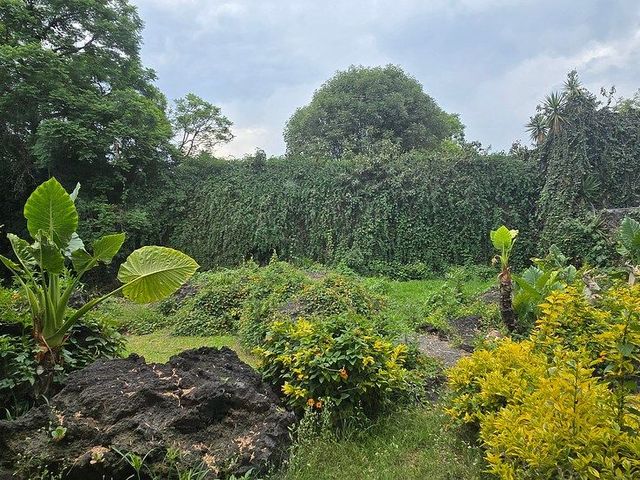 place photo 35