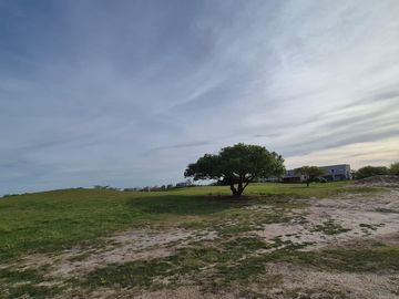 place photo 47