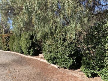 place photo 24