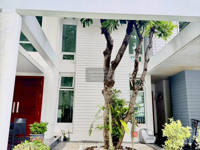 place photo 61