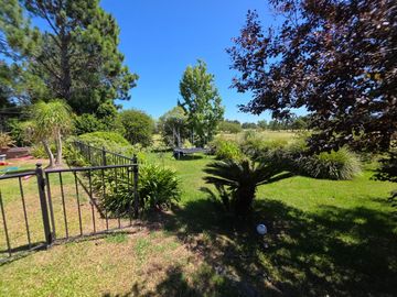 place photo 25