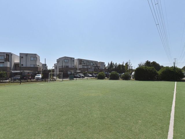 place photo 29
