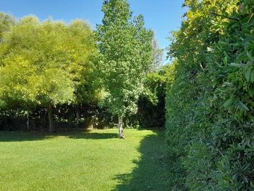 place photo 38