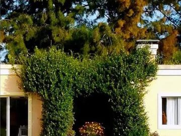 place photo 32