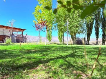 place photo 15