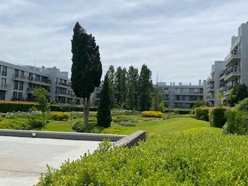 place photo 38