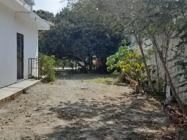 place photo 14