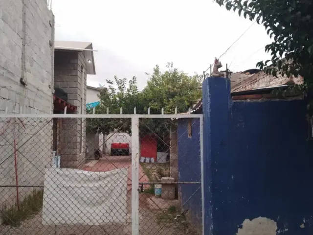 place photo 12