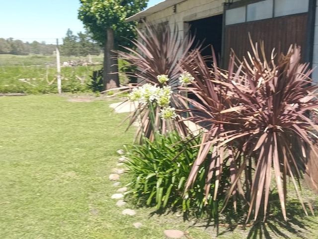 place photo 11