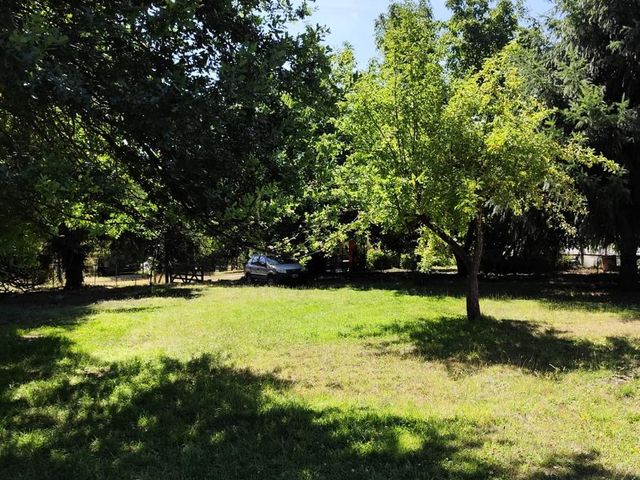 place photo 47