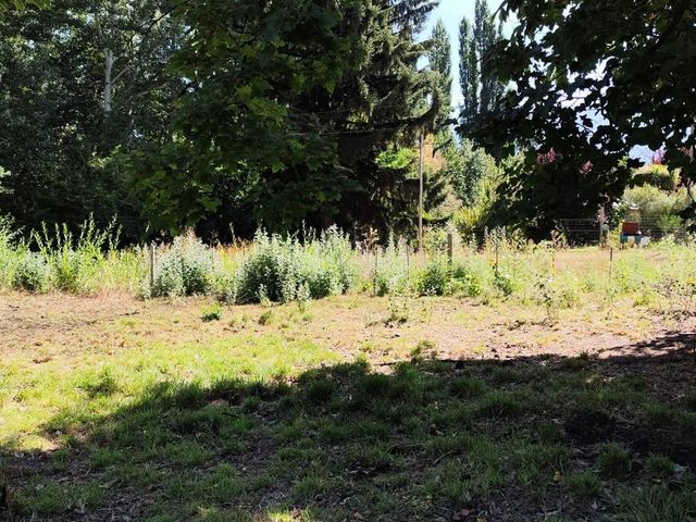 place photo 52