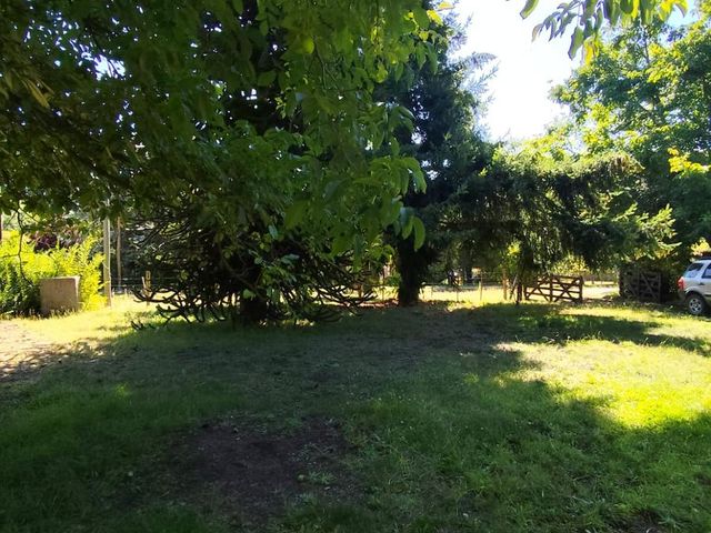 place photo 62