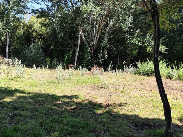 place photo 53