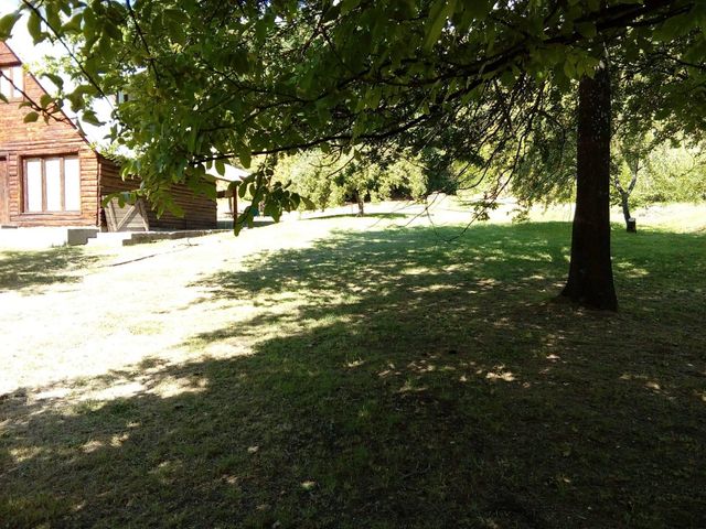 place photo 66