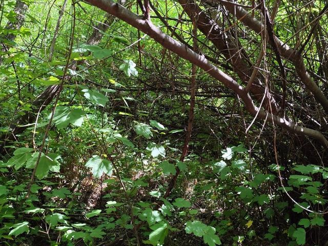 place photo 37