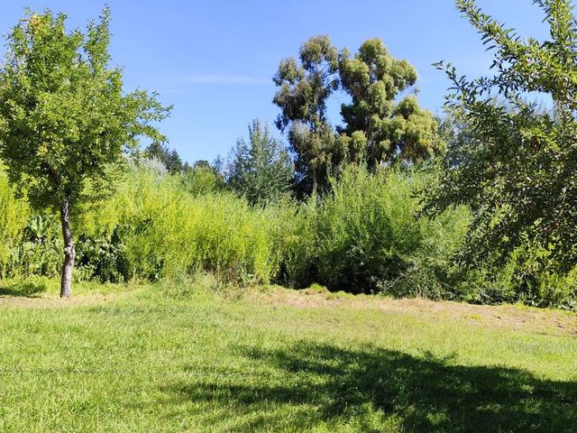place photo 43