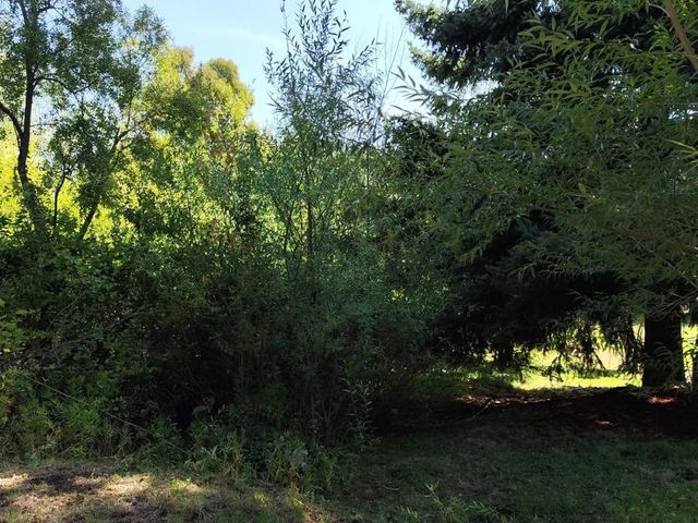 place photo 30