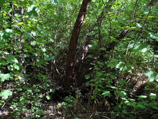 place photo 36