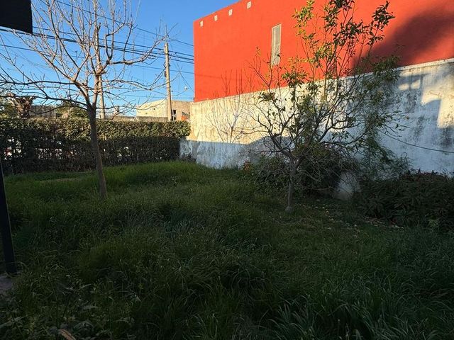 place photo 24