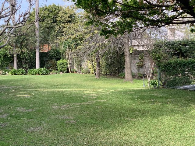 place photo 38