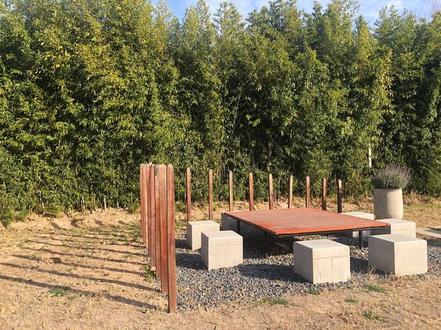 place photo 11