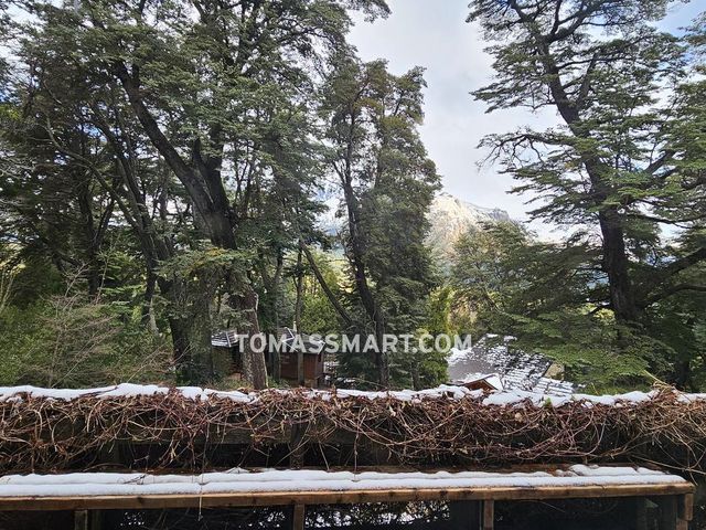 place photo 41