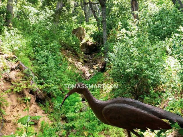 place photo 28